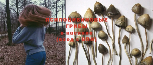 кокс Алзамай