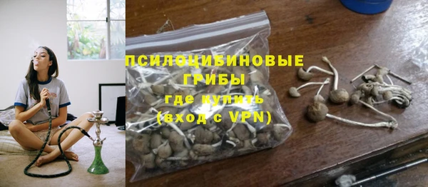 Альфа ПВП Алексин