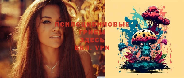 кокс Алзамай