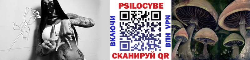 Псилоцибиновые грибы мицелий  что такое наркотик  Мураши 